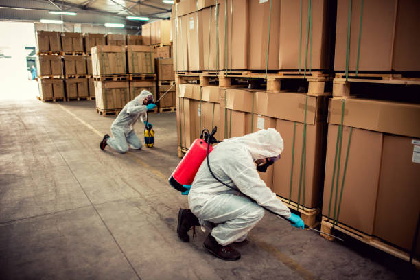 Best Pest Control Near Me  in Jefferson City, MO
