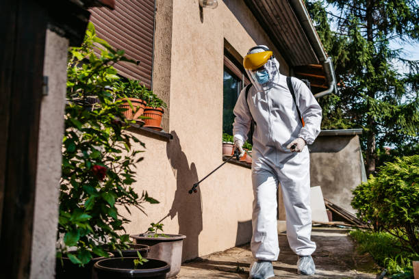 Best Pest Control Near Me in Jefferson City, MO