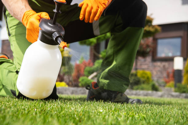 Best Best Pest Control Companies  in Jefferson City, MO