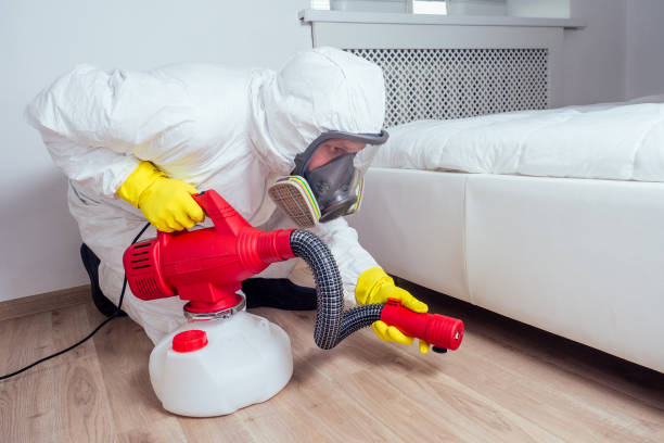 Best Rat Extermination Near Me  in Jefferson City, MO