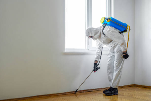 Best Cockroach Control Services  in Jefferson City, MO