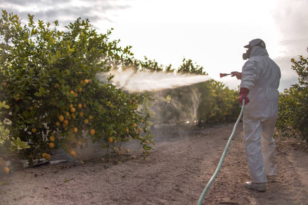 Best Local Pest Control Services  in Jefferson City, MO