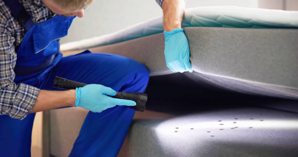 Best Mosquito Control Services  in Jefferson City, MO