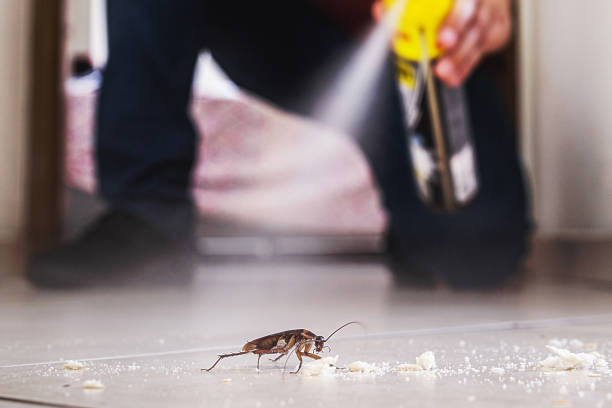Best Commercial Pest Control Services  in Jefferson City, MO