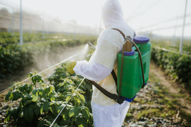 Best Emergency Pest Control  in Jefferson City, MO